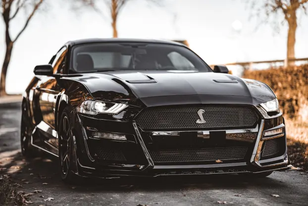 CoolPlay Casino Aip Android/iOS